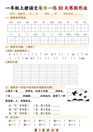 第3页